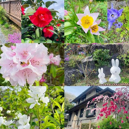 貸別荘花摘里　伊豆高原 Futo Buitenkant foto