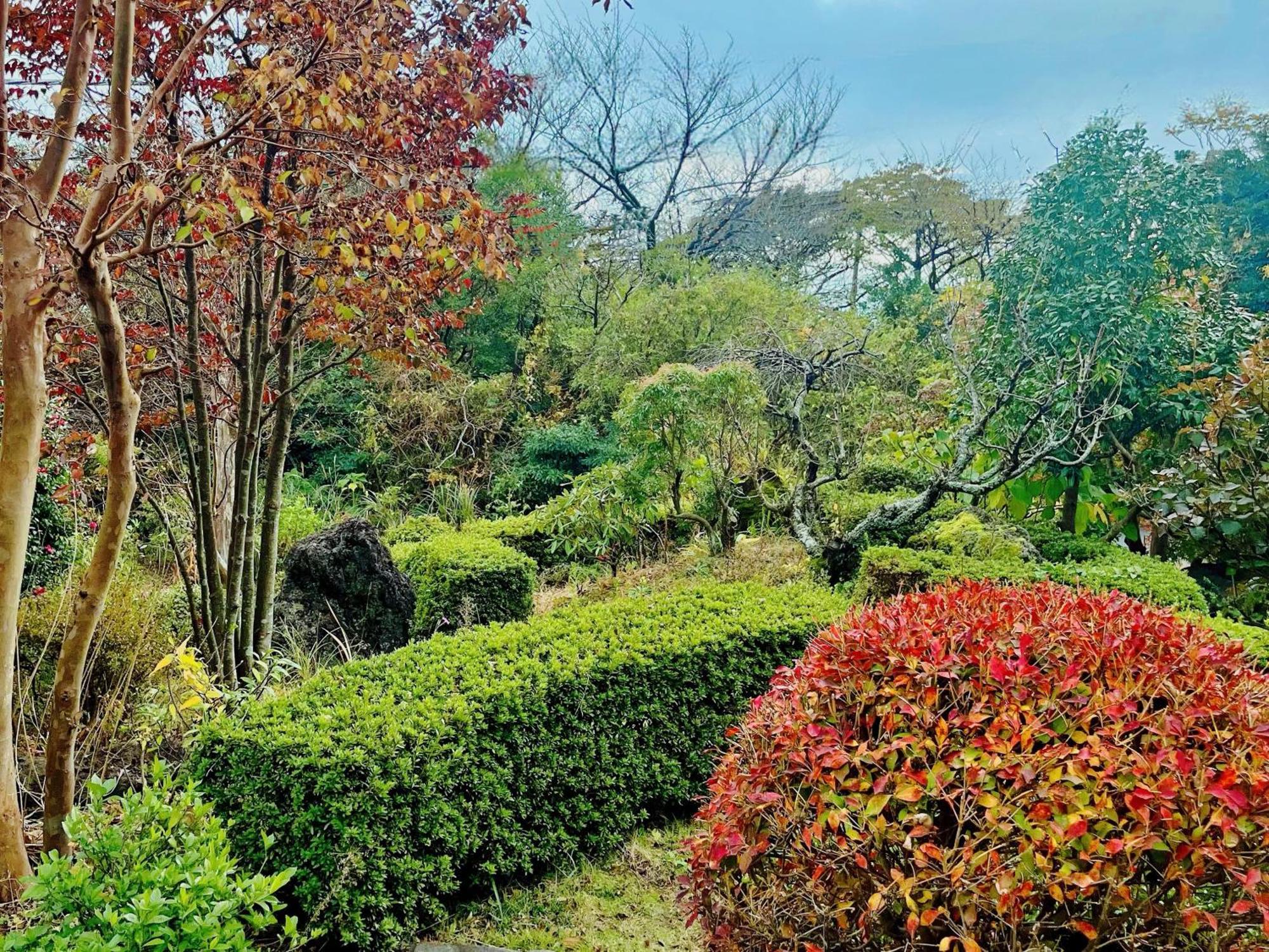 貸別荘花摘里　伊豆高原 Futo Buitenkant foto